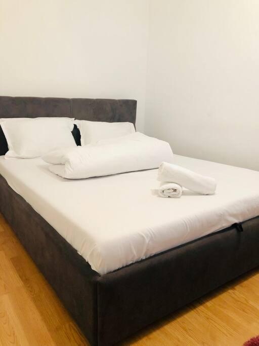 Nice Apt Near Spitalul Judetean, All You Need Lr14 蒂米什瓦拉 外观 照片
