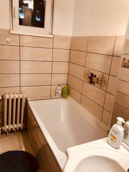 Nice Apt Near Spitalul Judetean, All You Need Lr14 蒂米什瓦拉 外观 照片