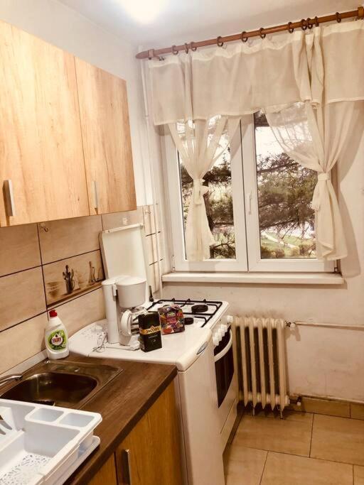 Nice Apt Near Spitalul Judetean, All You Need Lr14 蒂米什瓦拉 外观 照片