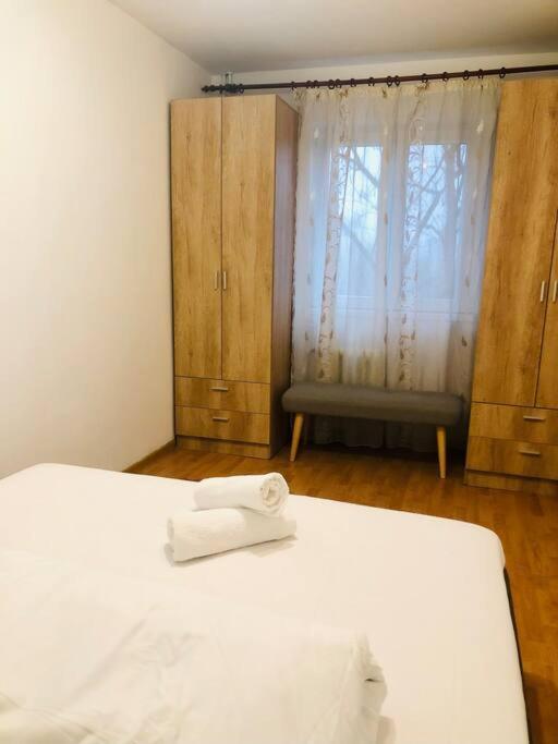 Nice Apt Near Spitalul Judetean, All You Need Lr14 蒂米什瓦拉 外观 照片