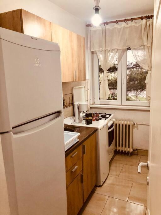 Nice Apt Near Spitalul Judetean, All You Need Lr14 蒂米什瓦拉 外观 照片