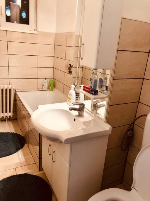 Nice Apt Near Spitalul Judetean, All You Need Lr14 蒂米什瓦拉 外观 照片