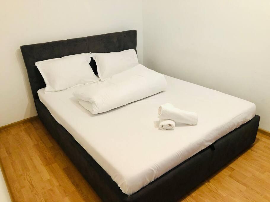 Nice Apt Near Spitalul Judetean, All You Need Lr14 蒂米什瓦拉 外观 照片