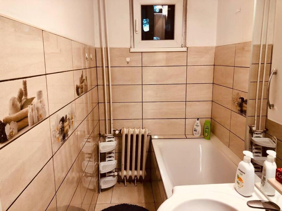 Nice Apt Near Spitalul Judetean, All You Need Lr14 蒂米什瓦拉 外观 照片