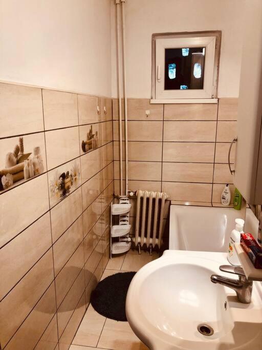 Nice Apt Near Spitalul Judetean, All You Need Lr14 蒂米什瓦拉 外观 照片