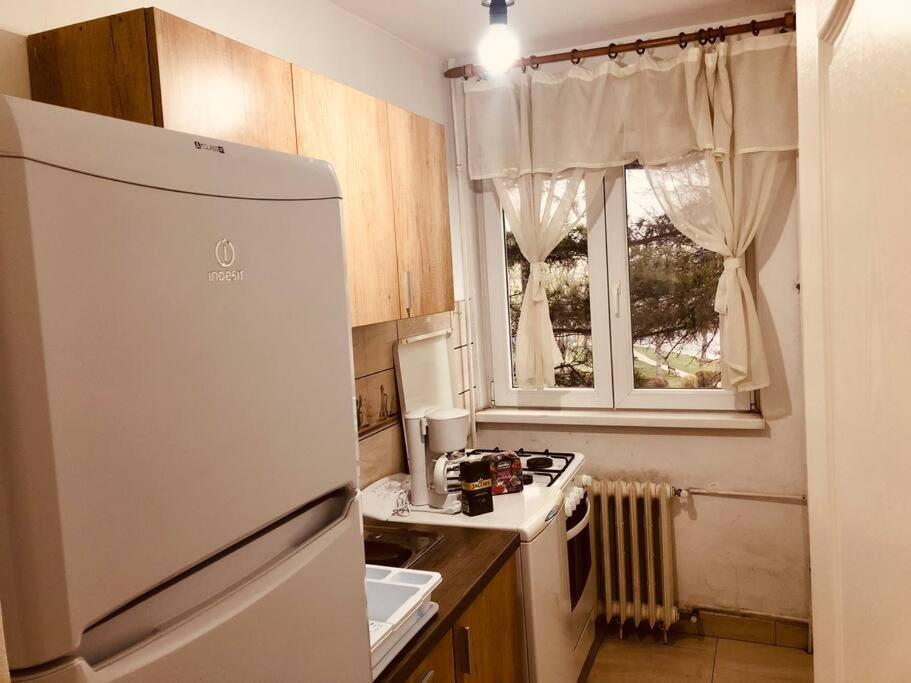 Nice Apt Near Spitalul Judetean, All You Need Lr14 蒂米什瓦拉 外观 照片