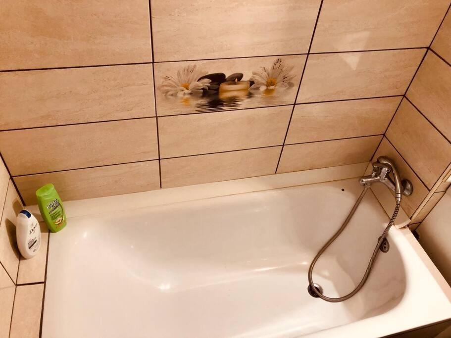 Nice Apt Near Spitalul Judetean, All You Need Lr14 蒂米什瓦拉 外观 照片
