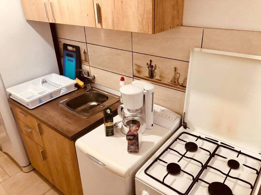 Nice Apt Near Spitalul Judetean, All You Need Lr14 蒂米什瓦拉 外观 照片
