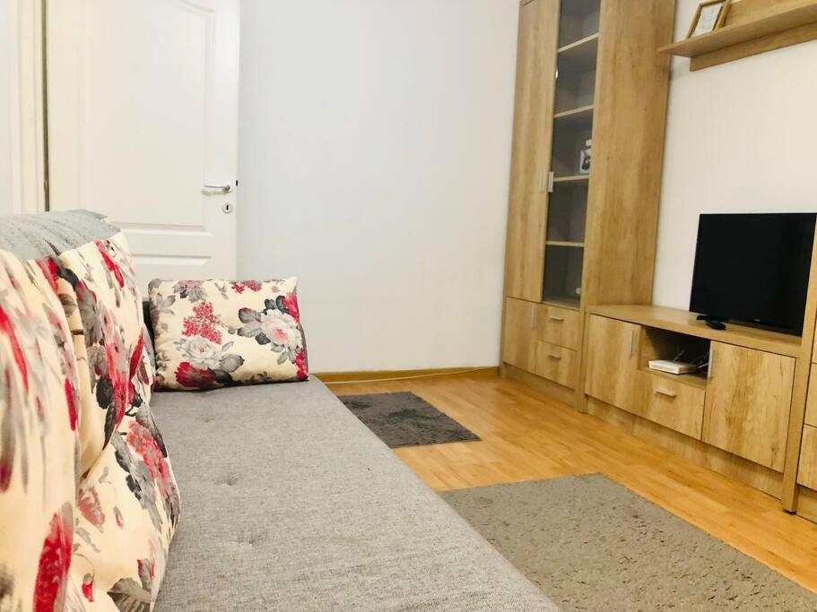 Nice Apt Near Spitalul Judetean, All You Need Lr14 蒂米什瓦拉 外观 照片