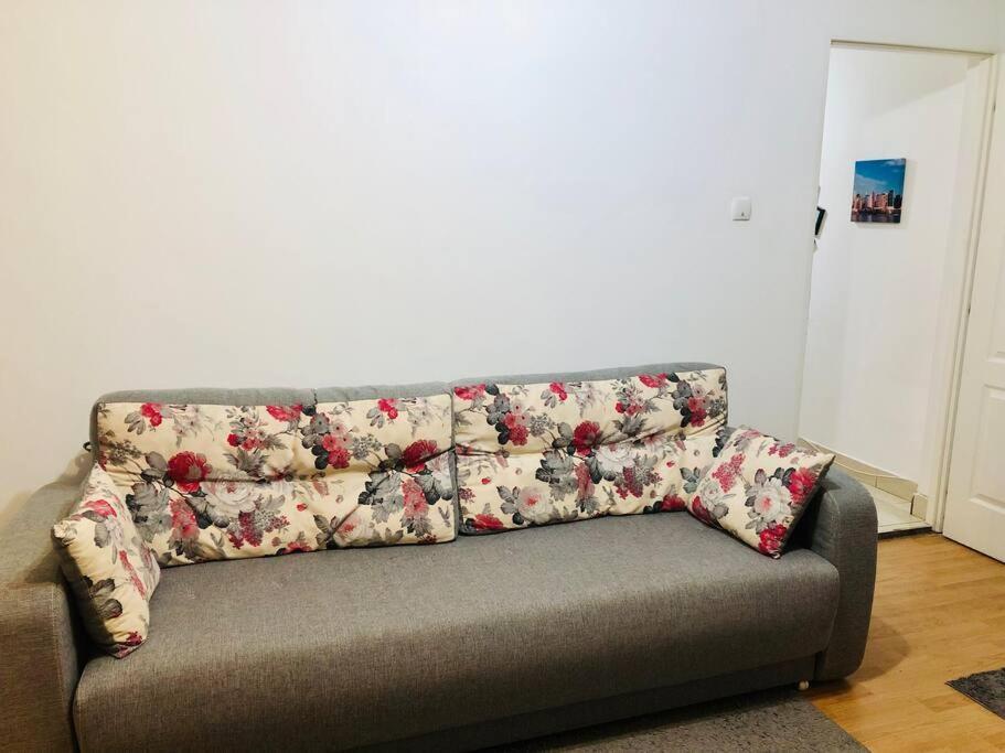 Nice Apt Near Spitalul Judetean, All You Need Lr14 蒂米什瓦拉 外观 照片