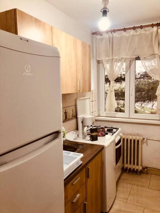 Nice Apt Near Spitalul Judetean, All You Need Lr14 蒂米什瓦拉 外观 照片